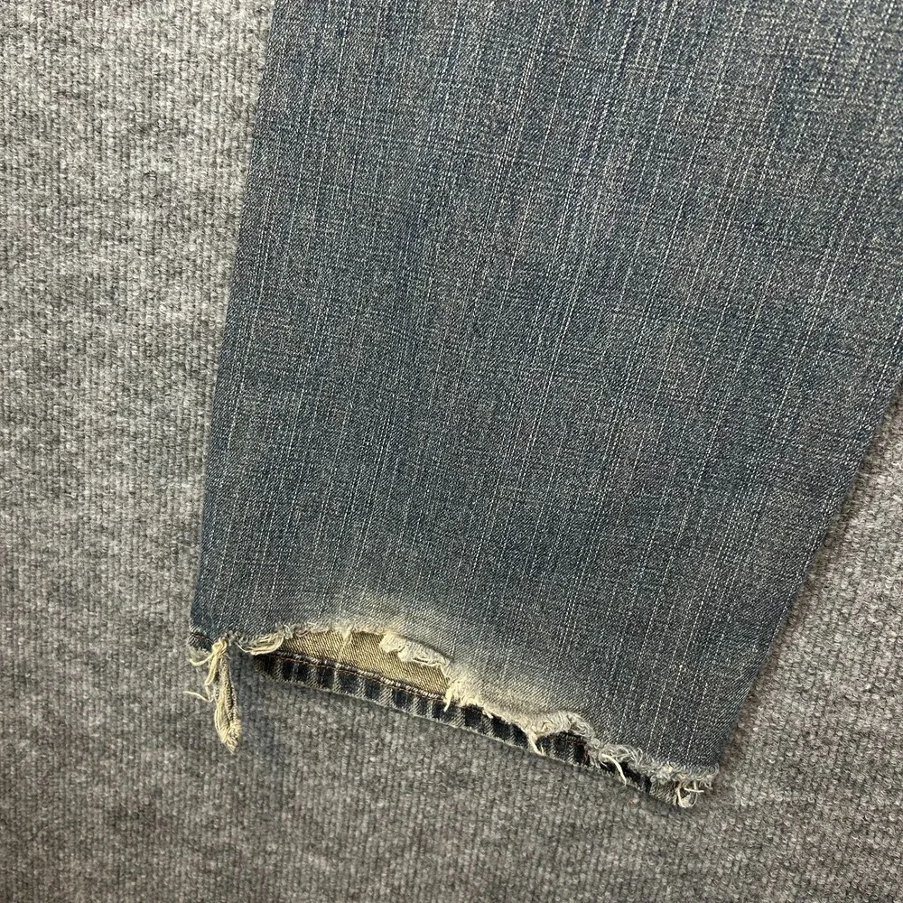 Levis levi 569